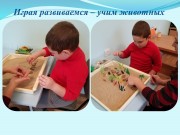 Использование элементов песочной терапии с детьми с расстройством аутистического спектра