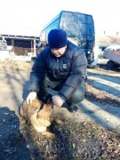 Дневной Центр ГУ «РРЦДИ» принял участие в акции «Поможем друзьям нашим меньшим Дневной Центр ГУ «РРЦДИ» принял участие в акции «Поможем друзьям нашим меньшим