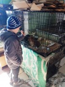 Дневной Центр ГУ «РРЦДИ» принял участие в акции «Поможем друзьям нашим меньшим