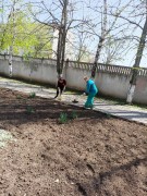 В Реабилитационном центре прошел весенний субботник