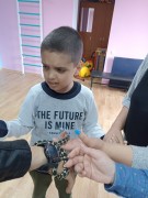 К нам в гости приехал контактный зоопарк