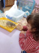 К нам в гости приехал контактный зоопарк