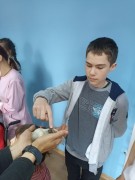 К нам в гости приехал контактный зоопарк
