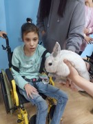 К нам в гости приехал контактный зоопарк
