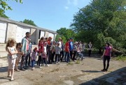 Экскурсия в конный клуб Экскурсия в конный клуб